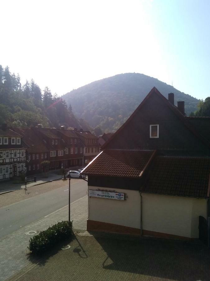 Zorge Hotel Bergschlosschen المظهر الخارجي الصورة