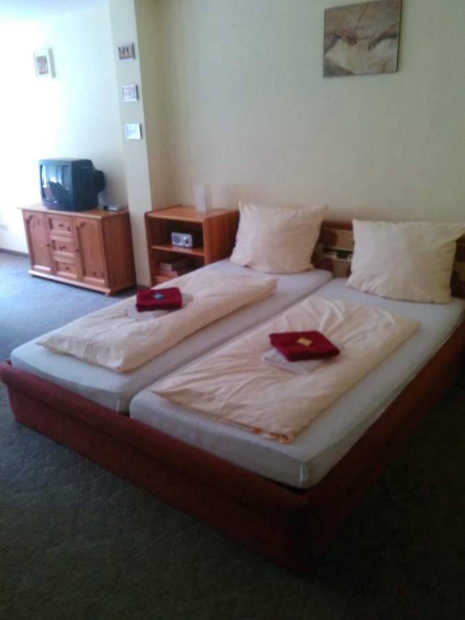 Zorge Hotel Bergschlosschen المظهر الخارجي الصورة